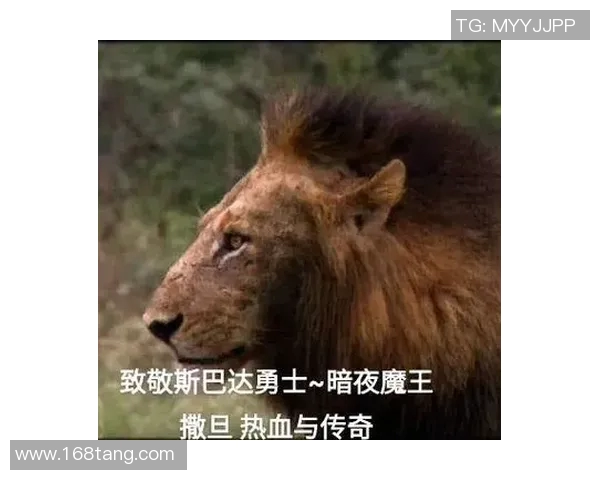 光头足球明星11号的传奇故事与不屈精神展现了运动员的无畏追求与奋斗历程